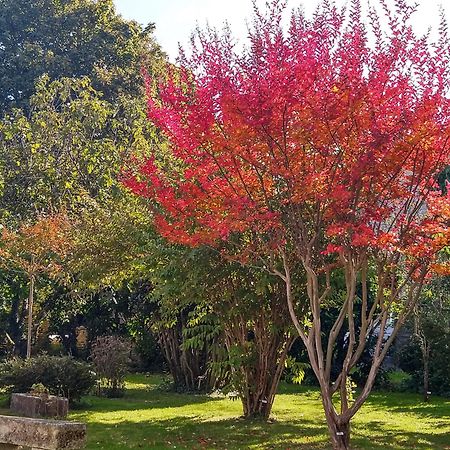 Vila La Demeure D'Ezilda Fléac-sur-Seugne Exteriér fotografie